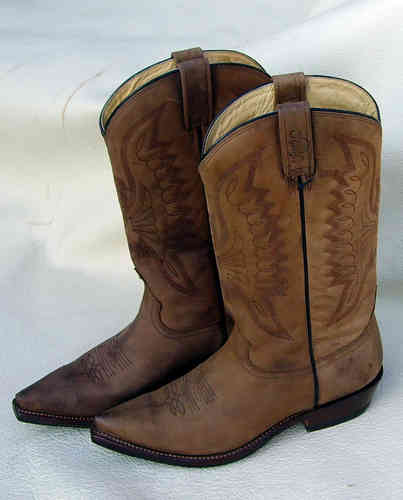 Boots " Oakwood CZ 5014 "